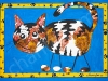 catblue